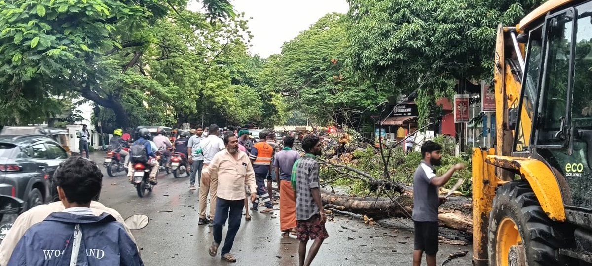 ChennaiTraffic's tweet image. A fallen tree near Loyola College on Sterling Avenue caused traffic slowdown.
#ChennaiTraffic &amp;amp; along with other teams swiftly cleared the obstruction and restored flow.
🌳 லோயோலா கல்லூரி அருகே சாலையில் சாய்ந்த மரத்தை உடனடியாக  அகற்றி போக்குவரத்து சீராக்கப்பட்டது.
 #SwiftResponse