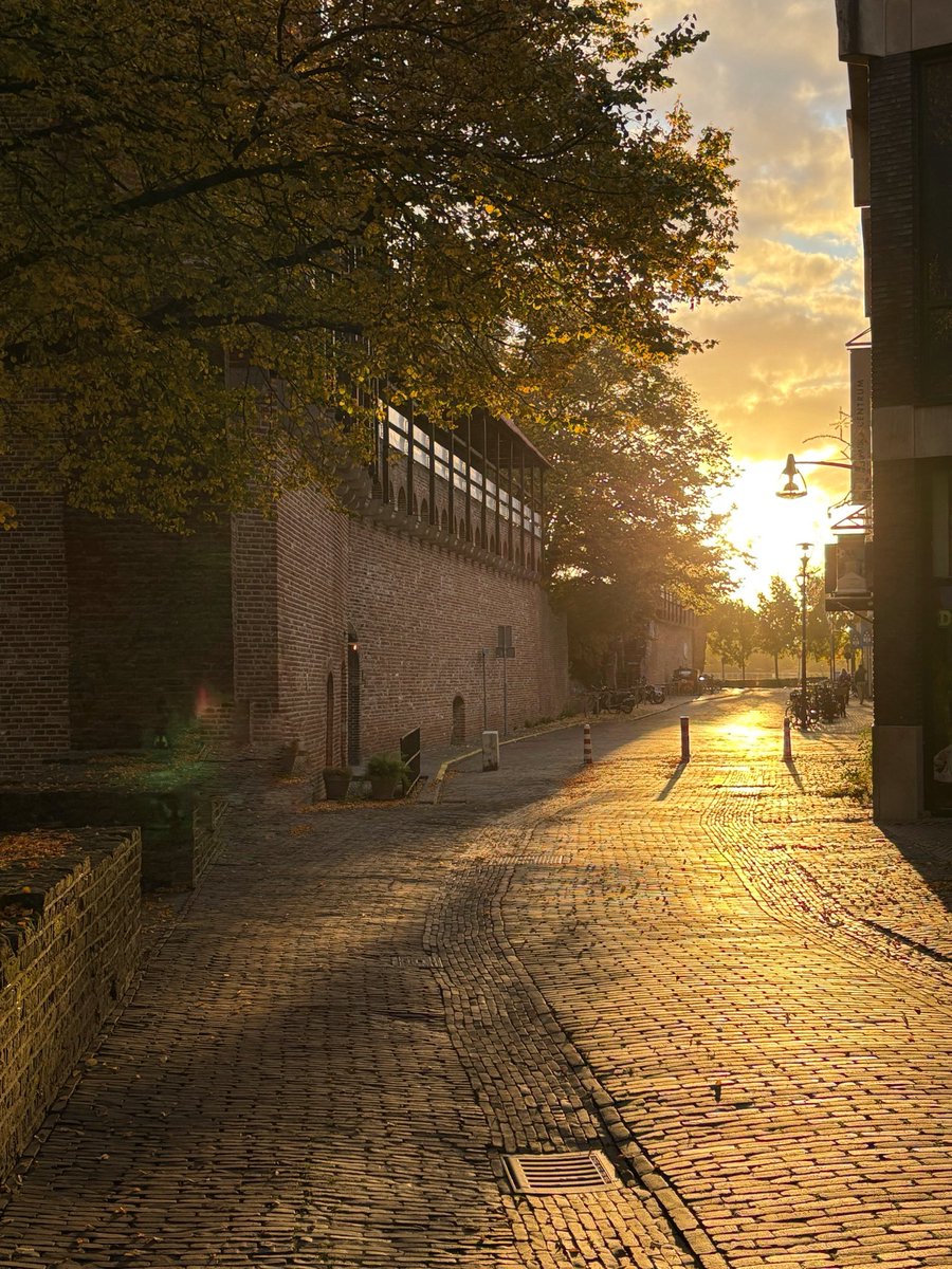 ZwolleMB's tweet photo. Autumn …… the year’s 
last, loveliest smile 
#landmark #midieval 
#citywall #zwolle 
#sunrise #autumn 
#pletterstraat https://t.co/IYqJE7Kjrx