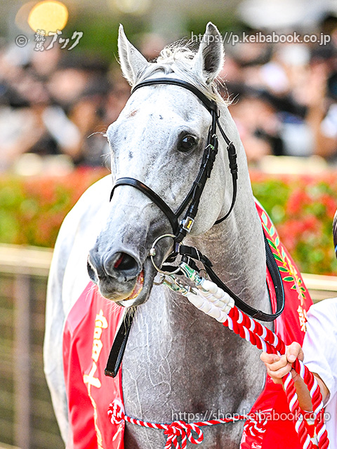 よよよ来年は午年❣️ヴィンテージ‼️オールドノリタケ❗️草原の草叢に馬ファミリー よよよ様専用来年は午年❣️ヴィンテージ‼️オールドノリタケ❗️草原