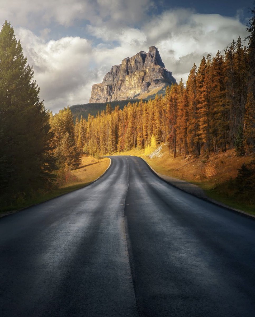 Fall in the Canadian Rockies 🍂