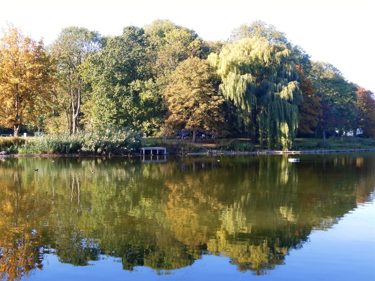 nori_reads's tweet image. Autumn colors...  🌤️ 🍃🍂  #placeswelove