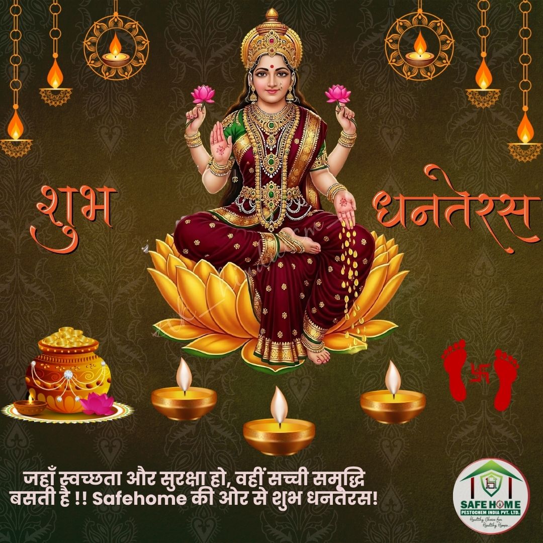 Safehome5's tweet photo. Wishing you a sparkling Dhanteras! May this auspicious day bring you wealth and success🎊🎆✨️
.
.
धन और समृद्धि के प्रतीक धनतेरस की शुभकामनाएं!🙏🪷✨️
Google Location📍 https://t.co/Qk7EJEK27L
#dhanteras #happydiwali
#safehomepestochem#Lucknow
#festivalvibe#2025 #GoddessEnergy https://t.co/urHnW6nzoP