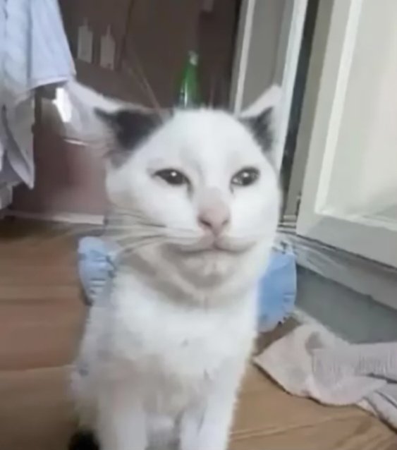 Eeeeeeemmmmmmmmmmmmmmmmmmmmmmmmmmmmmmmmmmmmmmmmmmmmmmmmmmmmmmmmmmmmmmmmmmmmmmmmmmmmmmmmmmmmmmmmmmmmmmmmmmmmmmmmmmmmmmmmmmmmmmmmmmmmmmmmmmmmmmmmmmmmmmmmmmmmmmmmmmmmmmmmmmmmmmmmmmmmmmmmmmmmmmmmmmmmmmmmmmmmmmmmmmmmmmmmmmmmmmmmmmmmmmmmmmmmmmmmmmmmmmmmmmmmmmmmmmmmmmmmmmmmmmmmmmmm miau