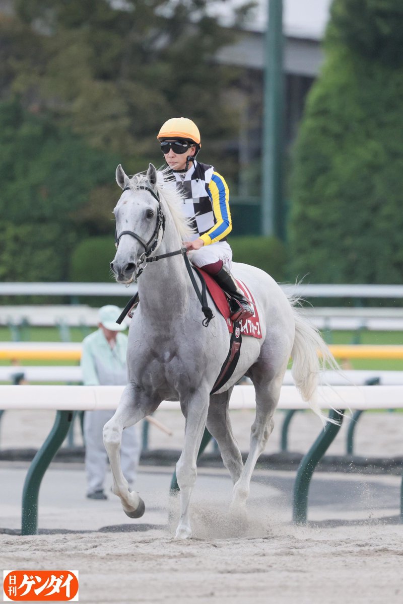 コマコ🐴 (@Komauma86) / Posts / X