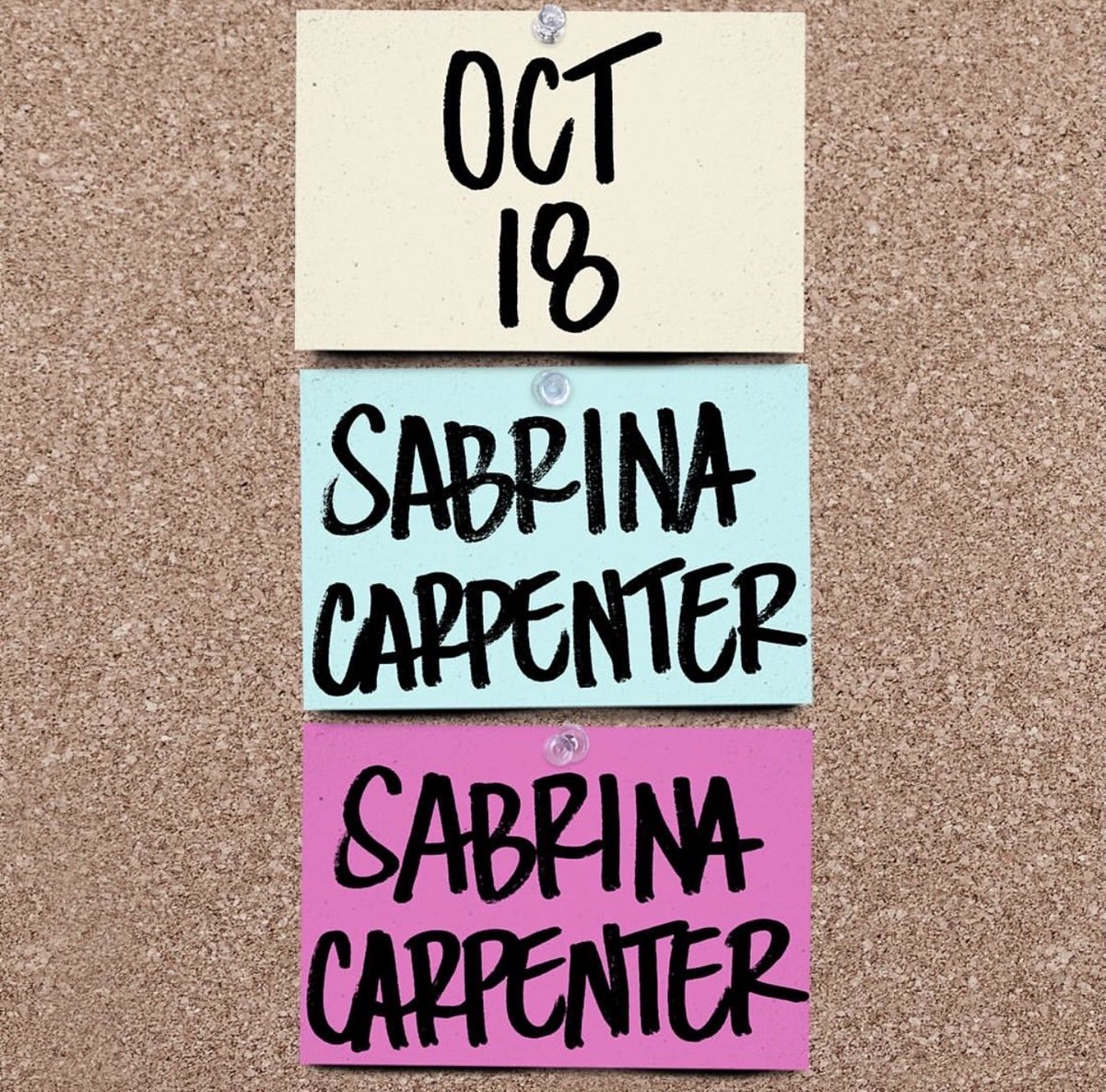 SCdailyupdates's tweet image. TODAY! Sabrina Carpenter will be host & musical guest on Saturday Night Live!
This will be Sabrina’s first time hosting.