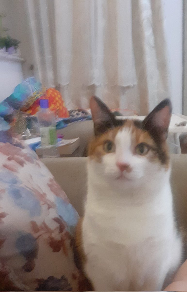 Laram sensiz nasıl olacak bilmiyorum. Çok insandan daha çok sevdim seni ve çok insandan daha çok karşılık aldım, güzel uykular .