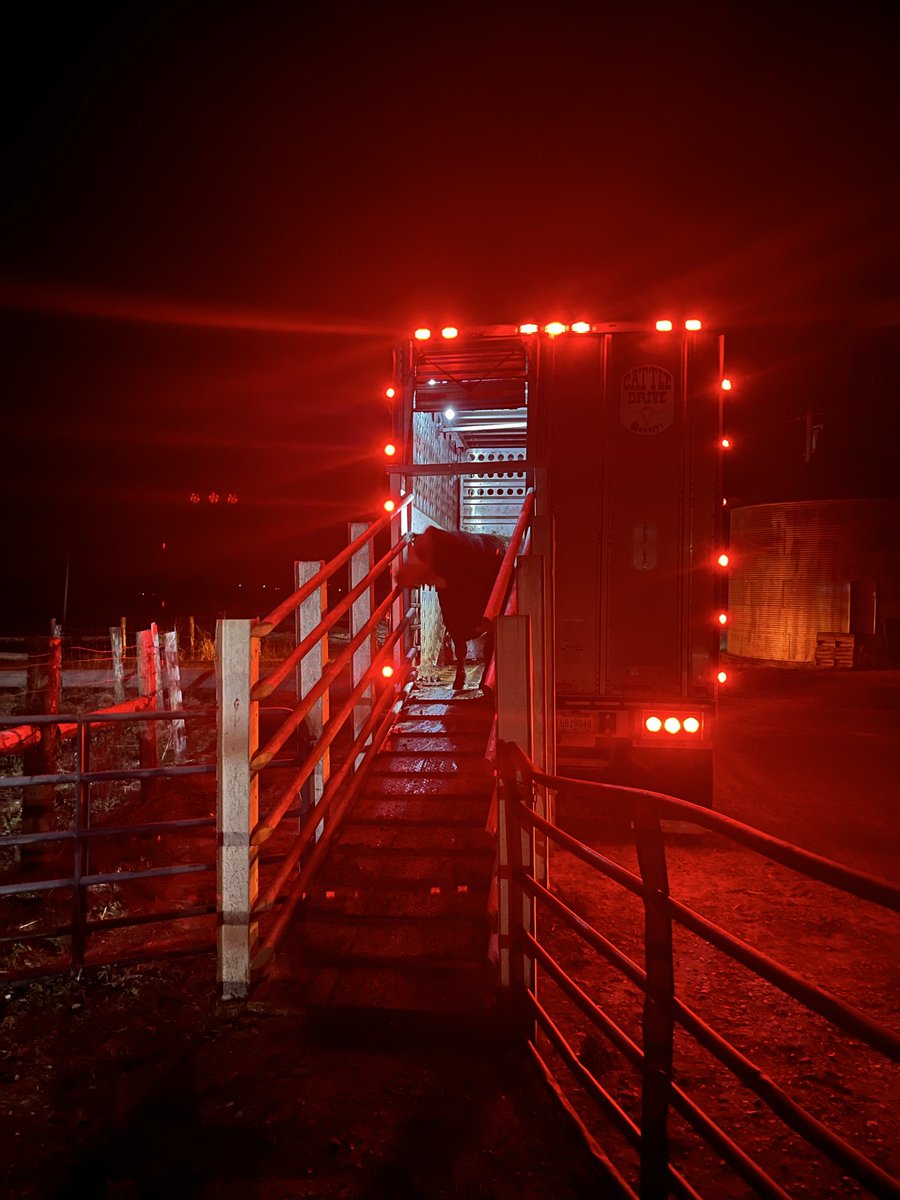 Oilseedstrader's tweet image. Late night expansion #limitdown