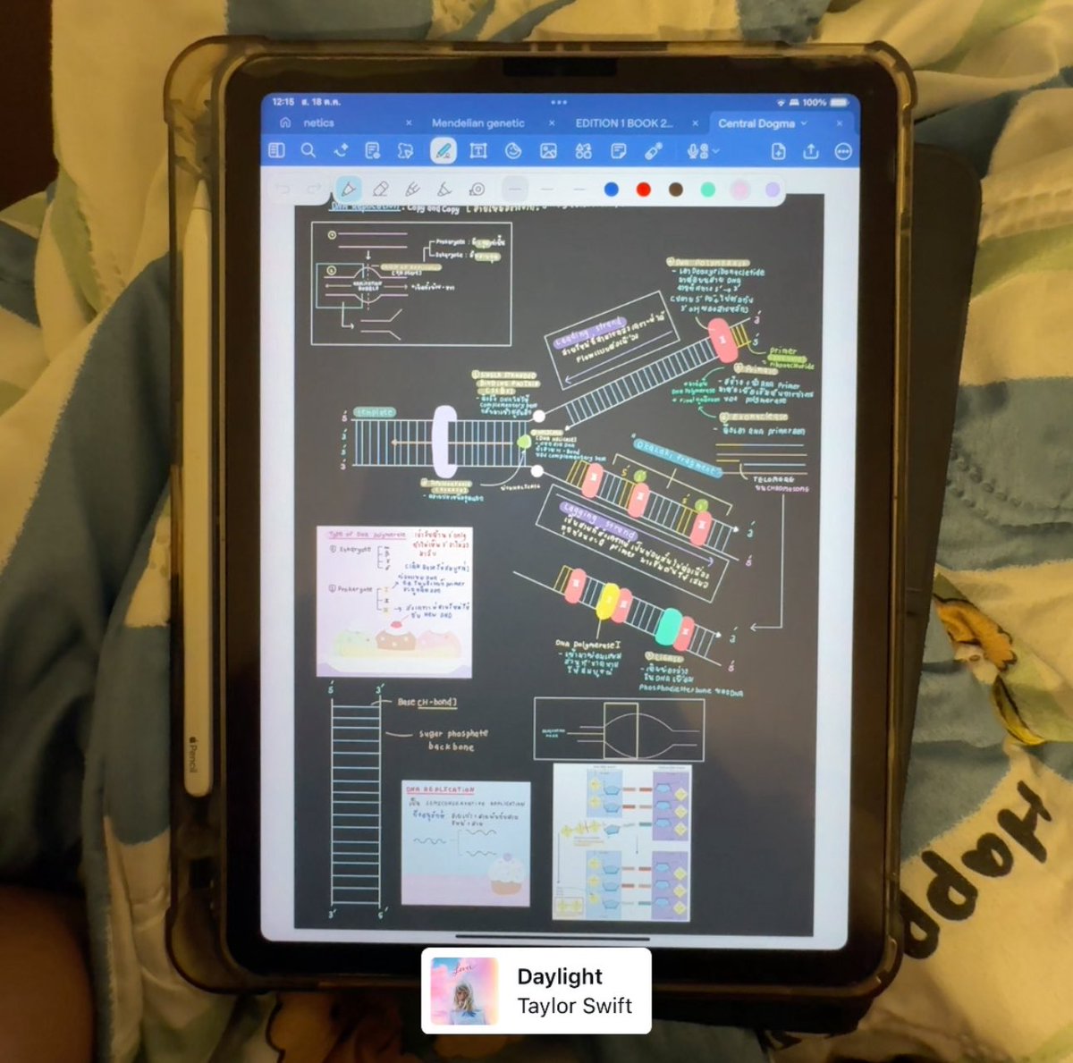 gisnpchers's tweet image. 👉🏻 Study  & Taylor swift song  🍎👰🏻♀️