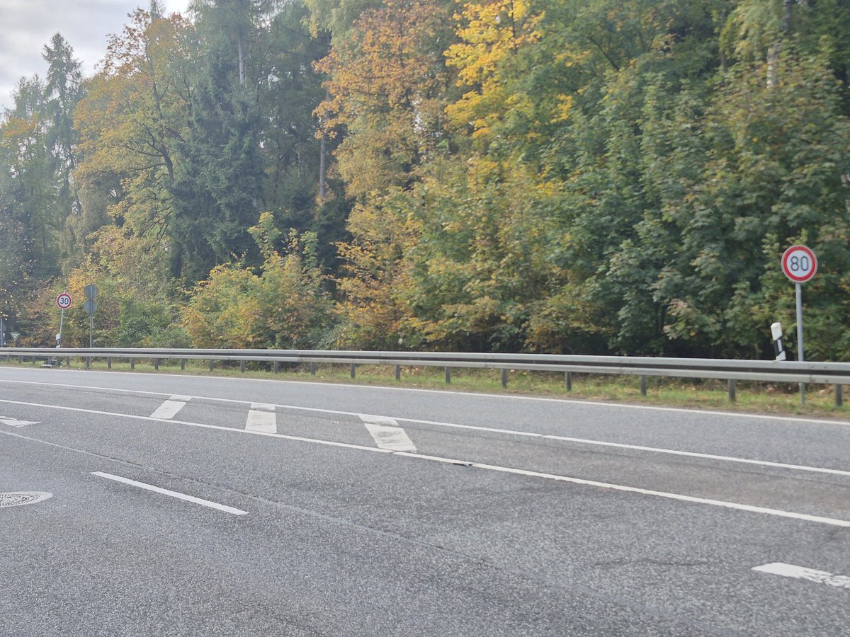 gssq's tweet image. One of many reasons driving in Germany sucks - 80kmph and 30kmph speed limit signs 50m apart