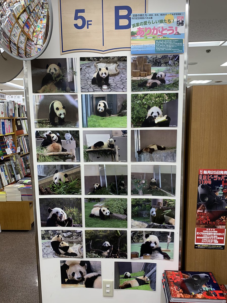 技術評論社パンダ部 (@gihyo_panda) / Posts / X