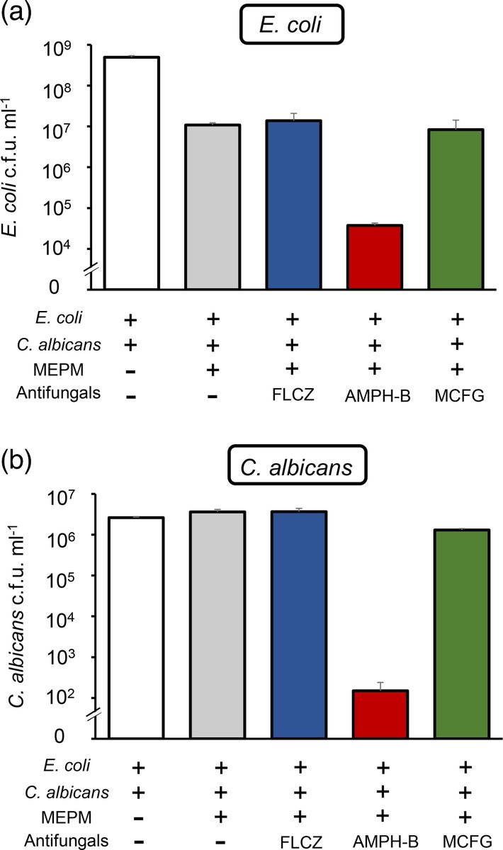 MicrobioSoc's tweet image. Combination effect of meropenem and antifungals against Escherichia coli-Candida albicans dual-species biofilms in vitro and in vivo using a silkworm model. Read the full article in JMM: doi.org/10.1099/jmm.0.… #JMedMicro