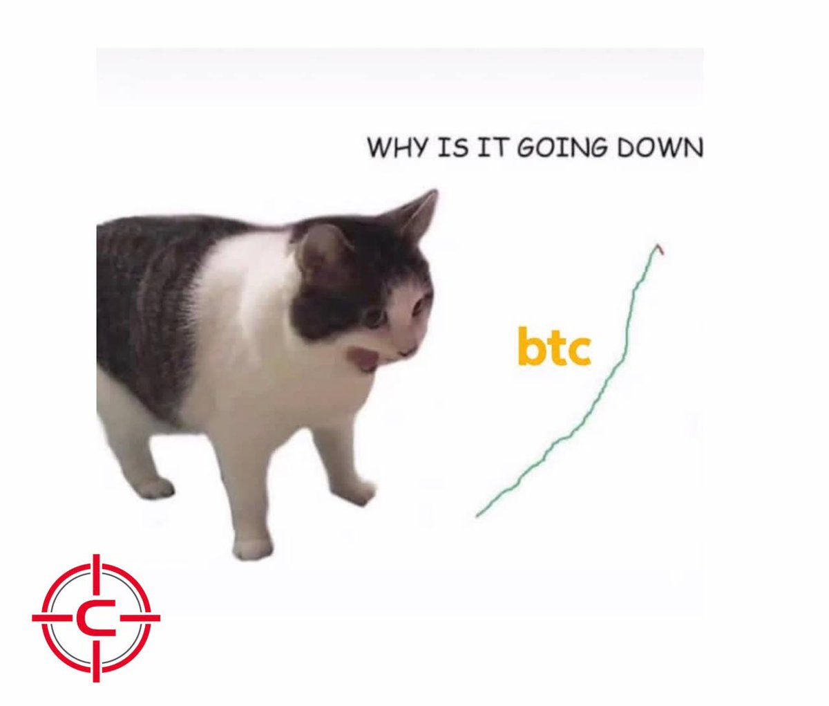 coinsniper_net's tweet image. #coinsniper #crypto #meme #bitcoin #ethereum #bnb #solana #memecoins