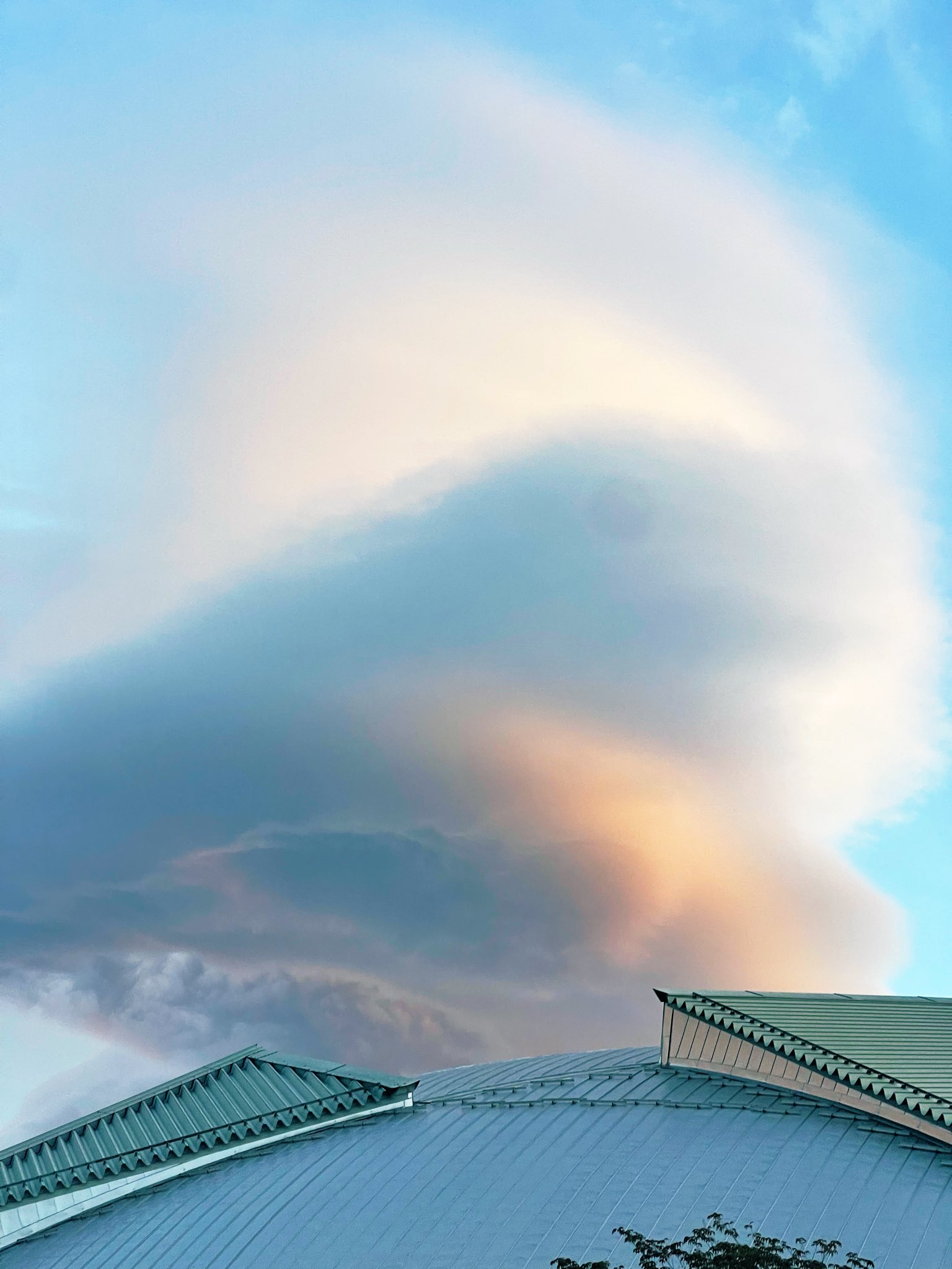 不可知の雲 Z-DRAGON】 FS74280J エコ 空調服(R)ベスト＋18.0V超大風量瞬間