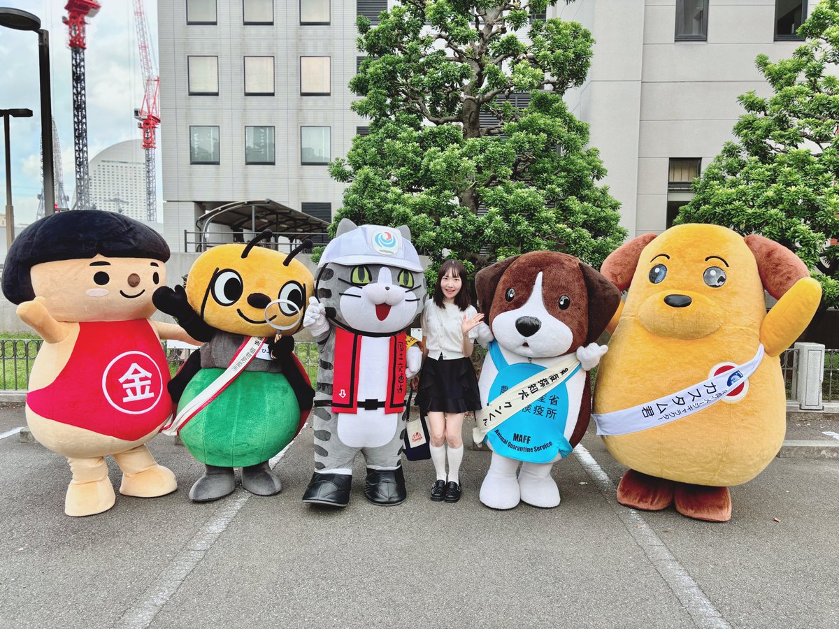 大変貴重な現場でした🫶
#カスタム君 #クンくん #仕事猫 #ぴーきゅん #かながわキンタロウ