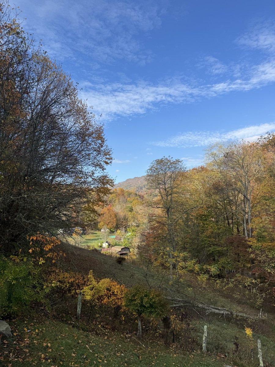 BooneGoon1978's tweet image. Boone, I am in you. #goapps