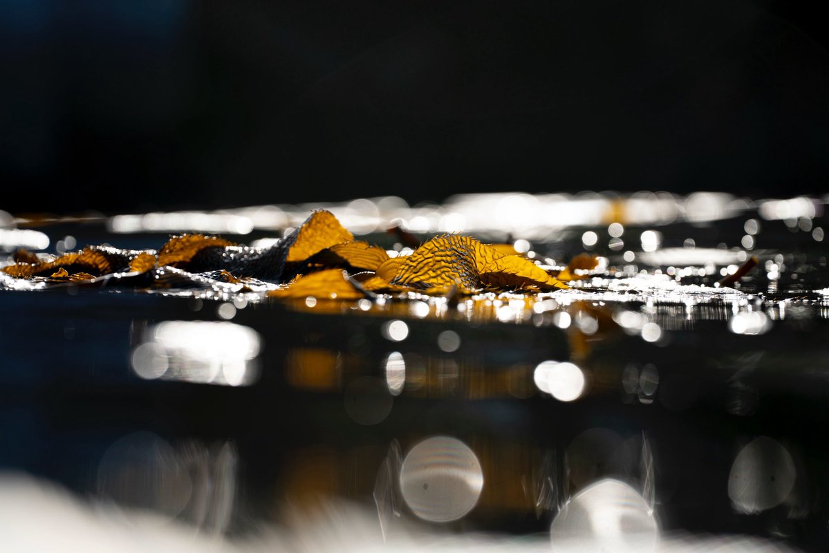 Bryant ₳ustin (@bryant_austin_) on Twitter photo Silence, darkness, surrender Silence, darkness, surrender