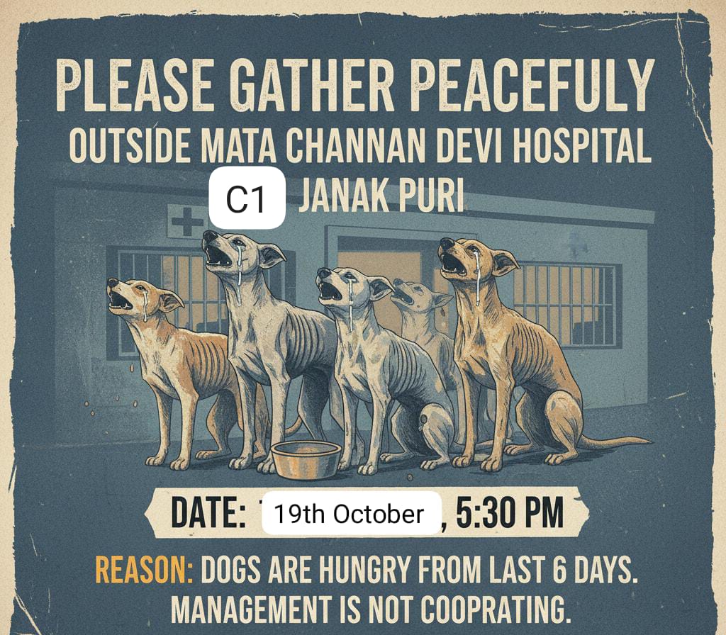 leena Sharma Advocate (@sharmaleena) on Twitter photo Despite a legal notice, various negotiations, deliberations, <a href="/Mdhmasalauncle/">MDH Masala Uncle</a> run hospital is not relenting and has stopped feeding of old, residnet community dogs in their parking lot. Inhuman, barbaric and primitive security, medical superintendent. Contempt of sc order Despite a legal notice, various negotiations, deliberations, <a href="/Mdhmasalauncle/">MDH Masala Uncle</a> run hospital is not relenting and has stopped feeding of old, residnet community dogs in their parking lot. Inhuman, barbaric and primitive security, medical superintendent. Contempt of sc order