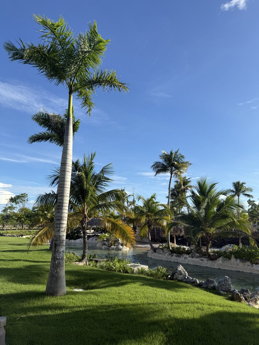 Jack 🇬🇧 tweet media