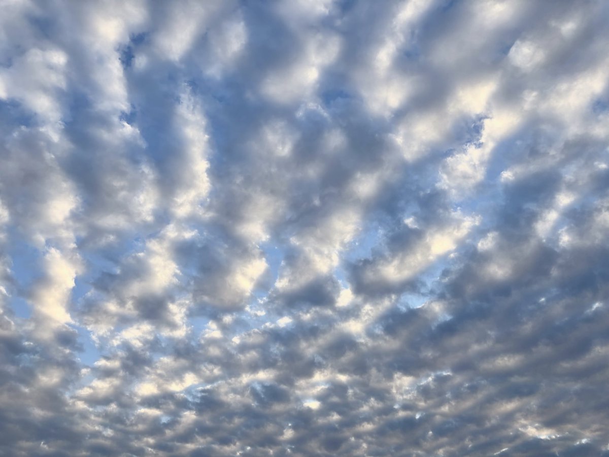 myke237's tweet photo. October sky accompanied by a little rain last night 🎼
#clouds #rain #classicalsky #stratonimbus #nimbostratus #kansascity https://t.co/ZBqLHK8yrj