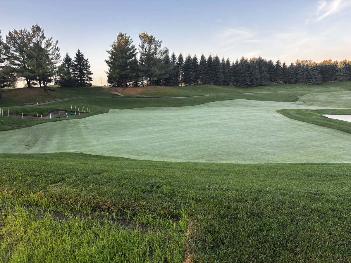 007XL sodded green coming along nicely 10/18/25, Prior Lake, MN.  Preplant w/ <a href="/earthworksturf/">EarthWorks Turf</a> 3-3-3/renovate plus <a href="/bentgrassdoctor/">Richard Hurley, PhD</a>