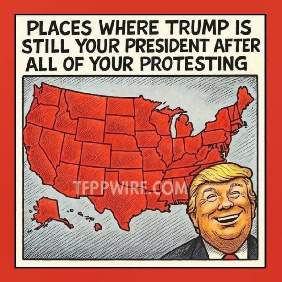 inthewoods tweet media