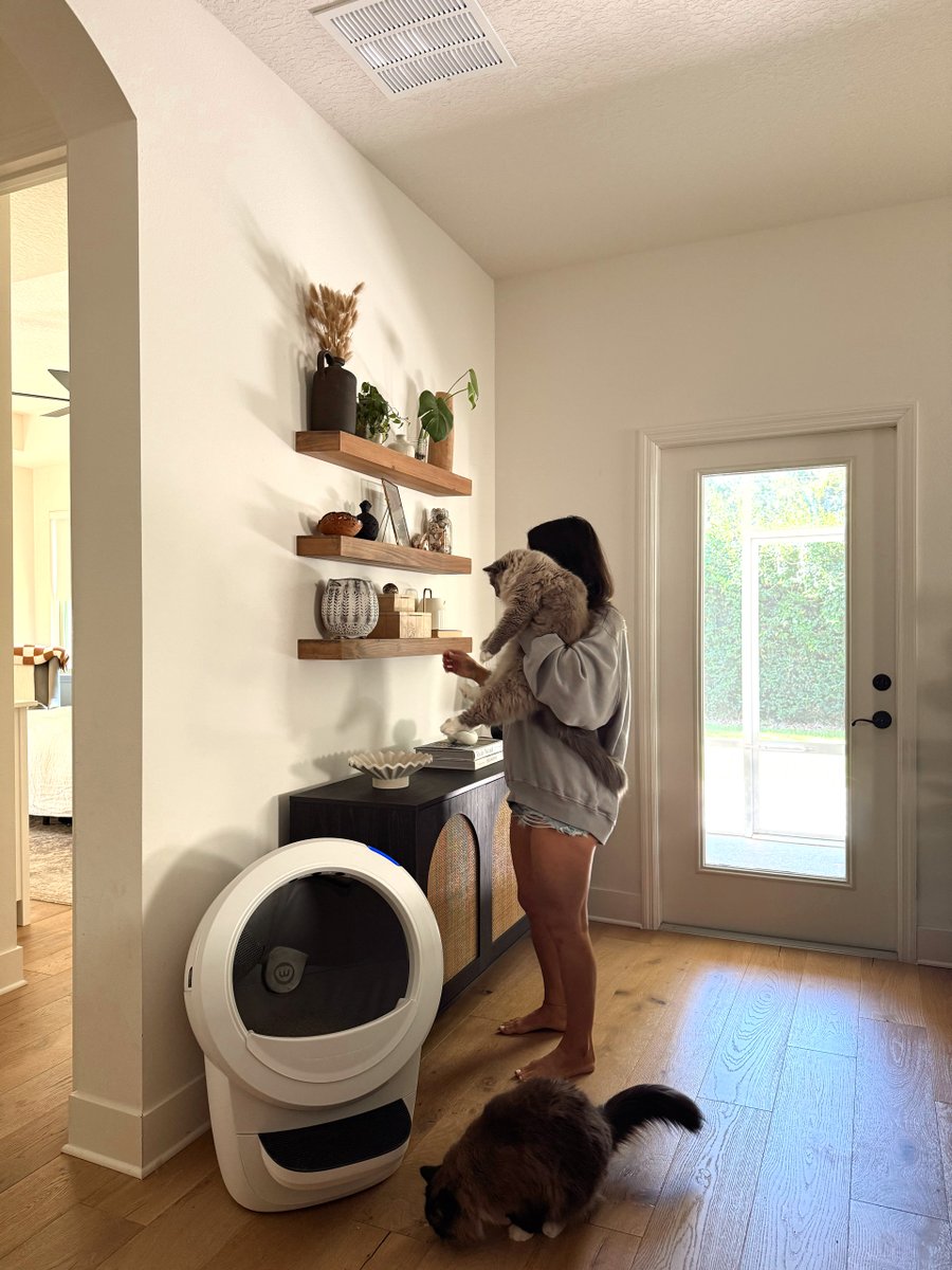 Slow Saturday morning loading... 😌 ⌛ 

#Whisker #LitterRobot #AutomaticLitterBox #LitterBox <a href="/_brittanylc/">Brittany L. Crowther</a>