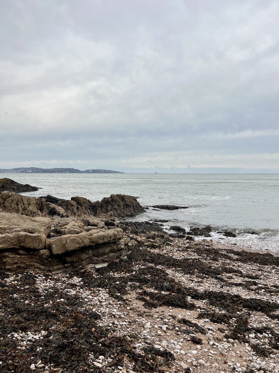 Some nicer Autumnal photos from today’s walk! #woodlandwalk #fall #southdevon