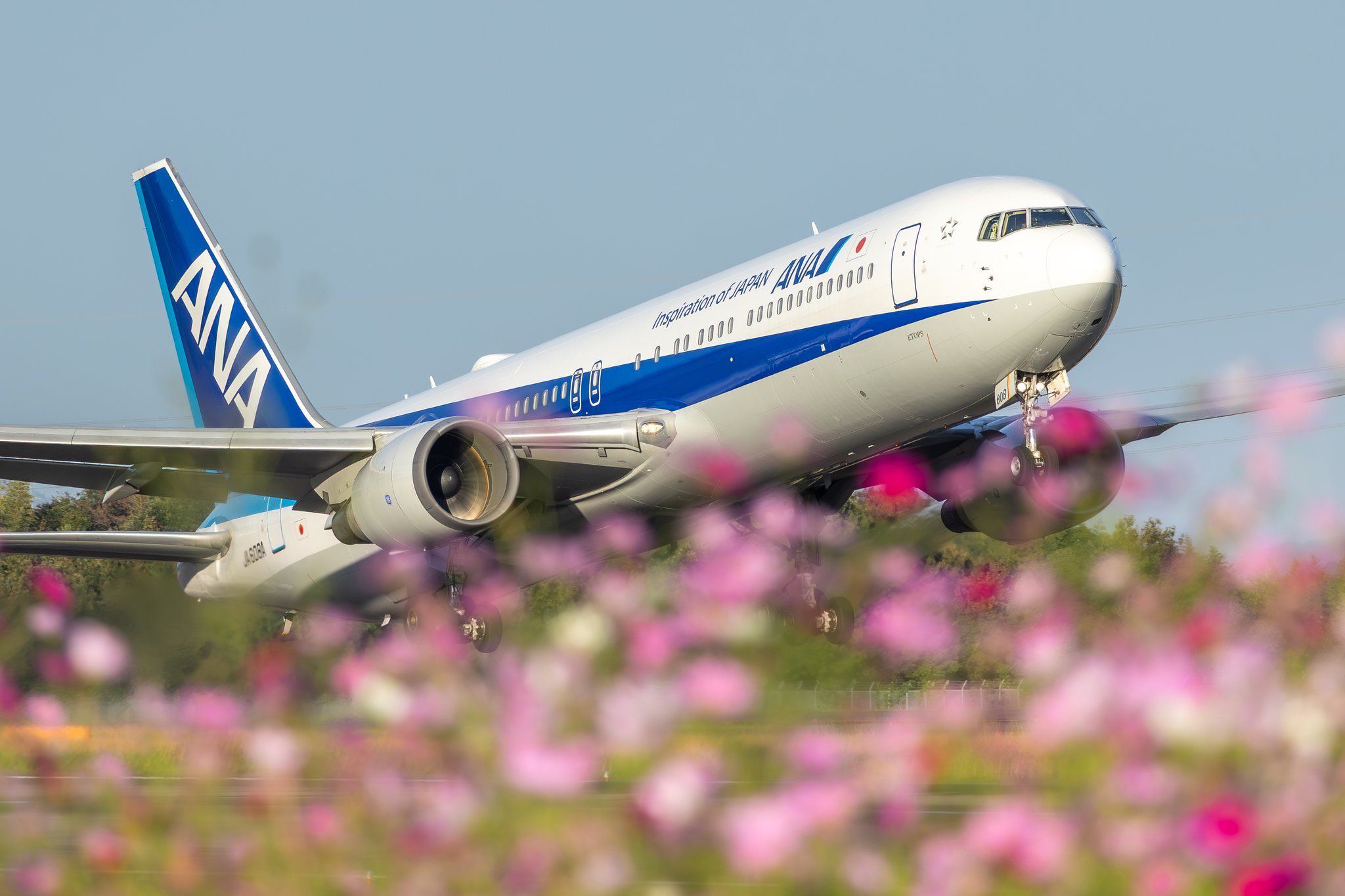 Contrail&Flower-Chang 飛行機雲とお花ちゃん 2025年最新】飛行機雲と