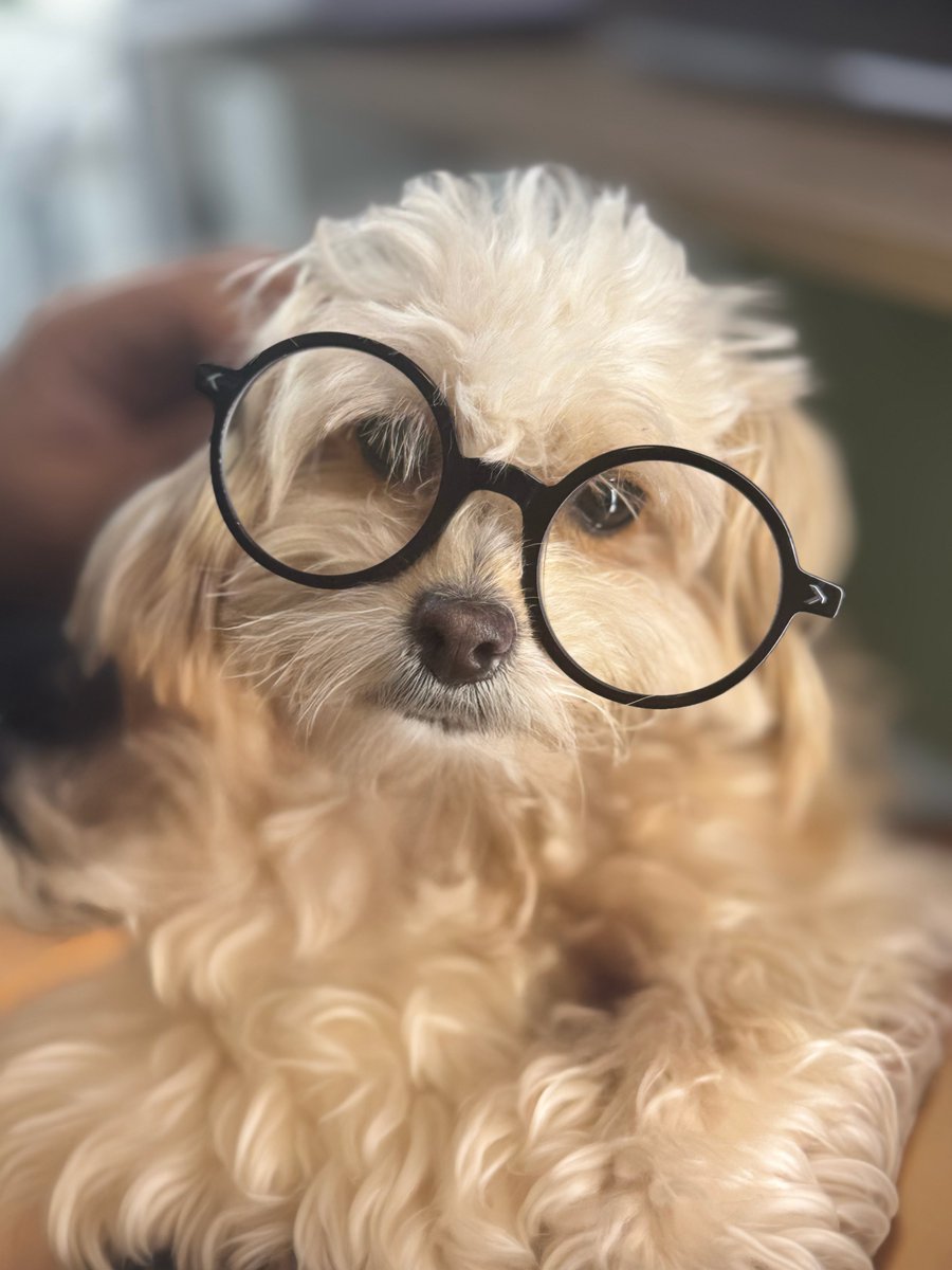 codewithkeys's tweet image. خانم دکتر کندی