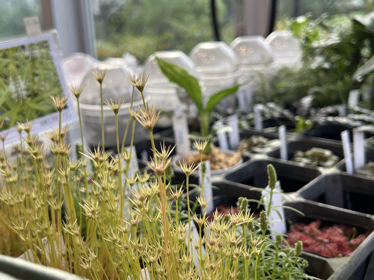 KENZO (@fw_kenzo) / X