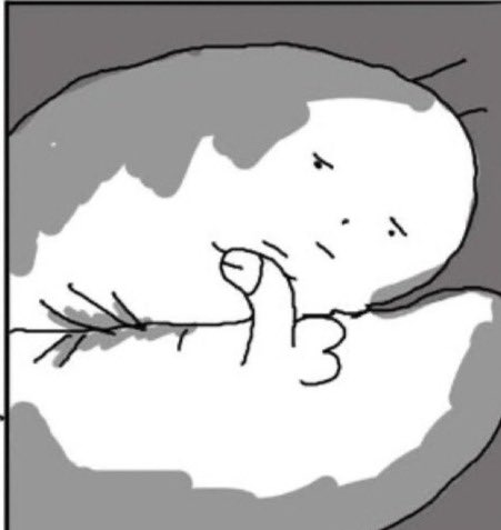 i imagine this is how pokémon live in their pokeball