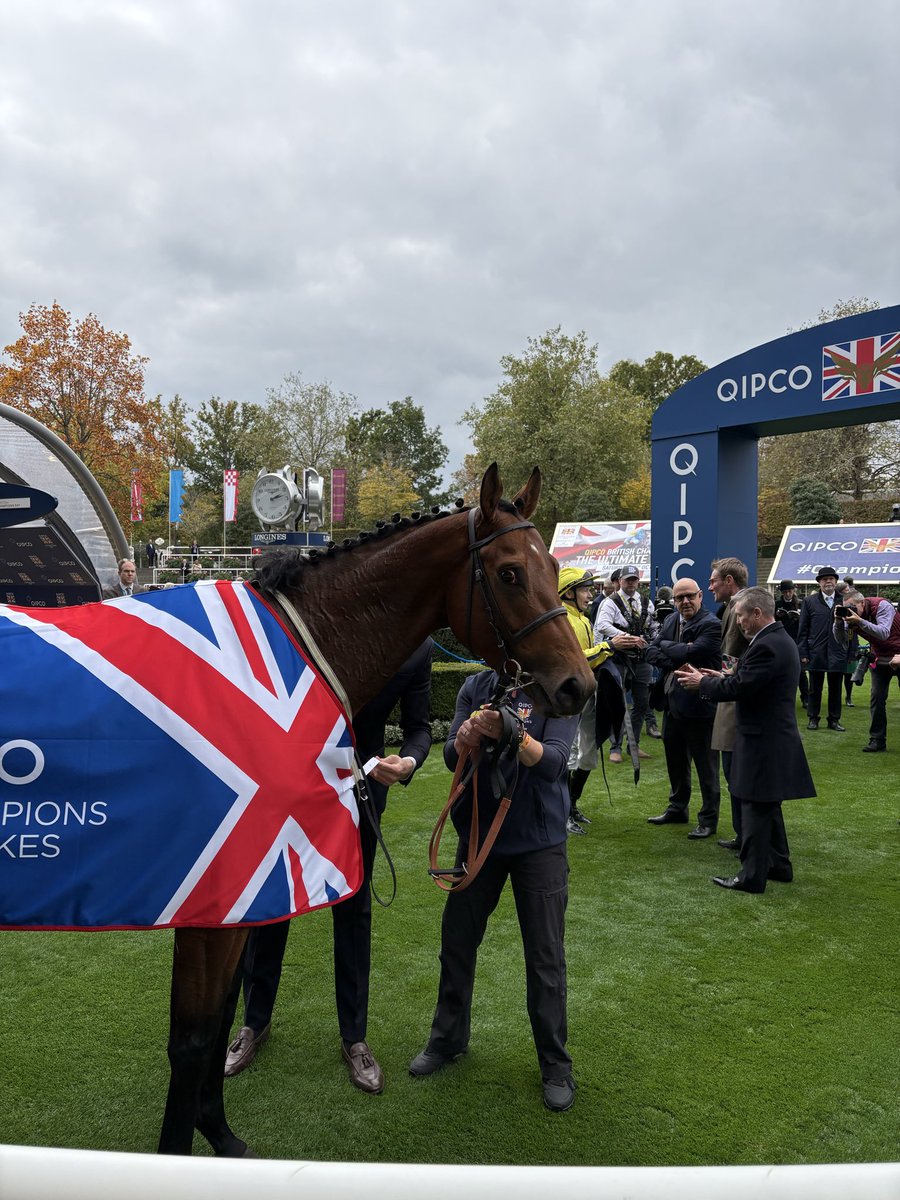 AtTheRaces's tweet photo. Say hello to the Qipco British Champion Sprint hero, Powerful Glory! 🏆 https://t.co/dCOxYSPOXO