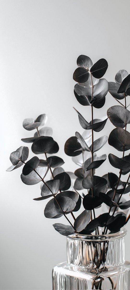 A Beautiful Wallpaper Free for you ❤️ 

Enjoy!!