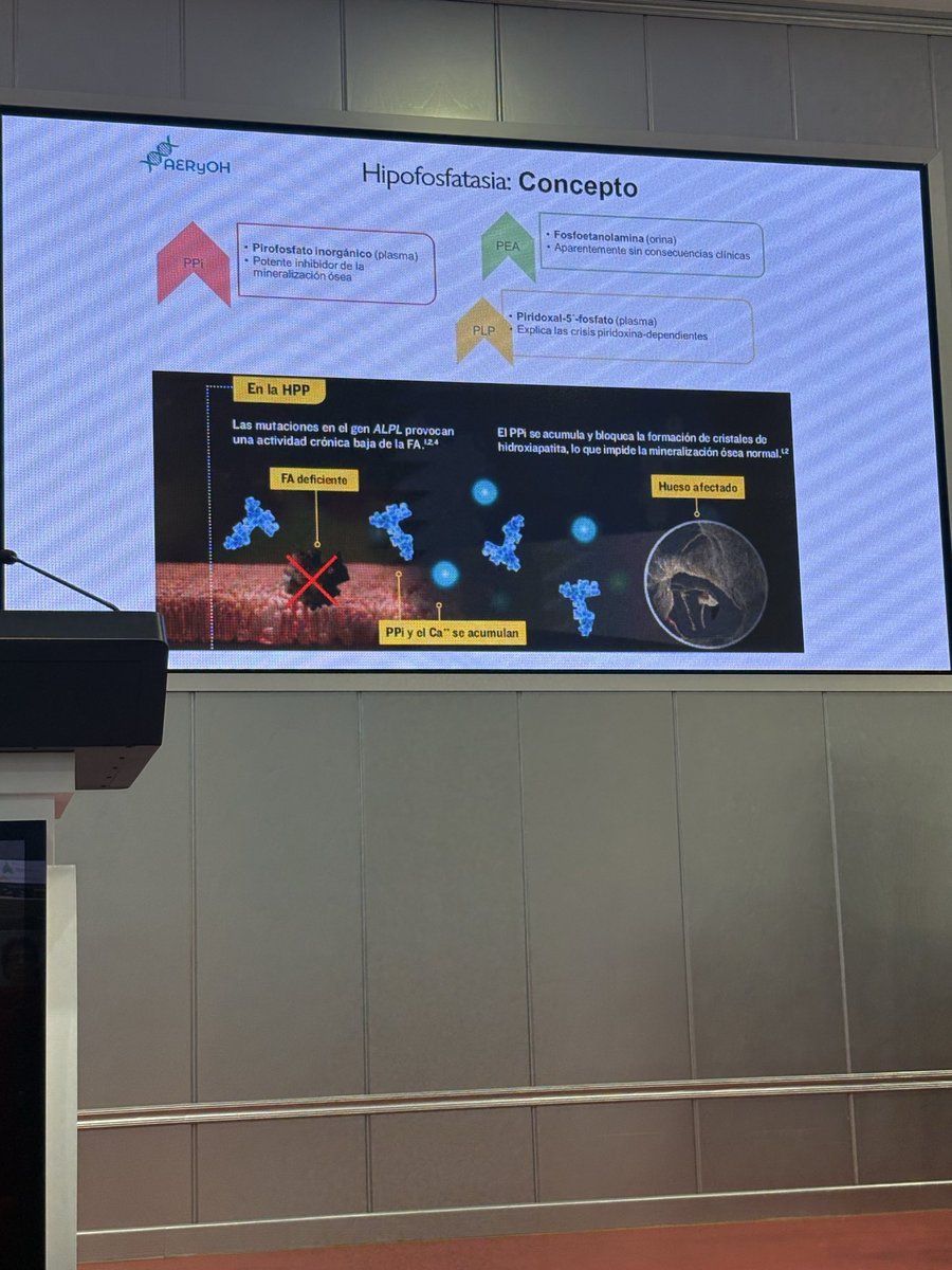 Es el turno ahora de la hipofosfatasia. De los avances y recomendaciones basadas
en investigación habla ahora la Dra. Beatriz García de @ibsGranada 
#EnfermedadesRaras #JornadaAERyOH2025 #raquitismos