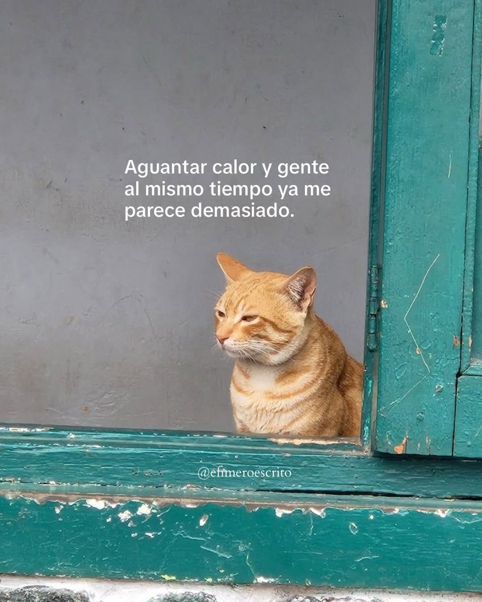 Escritos (@itextosoff) on Twitter photo 