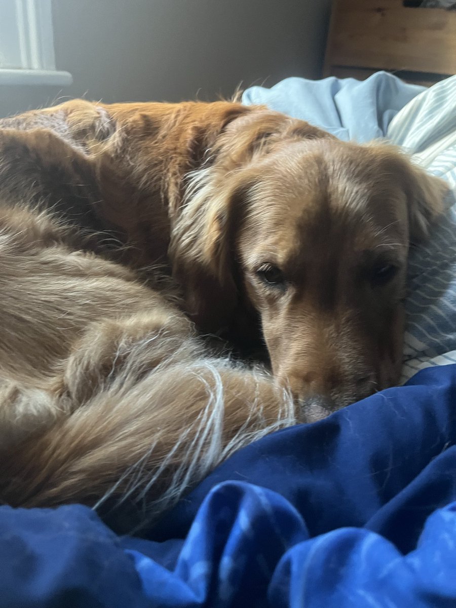 Finally the peace she craves