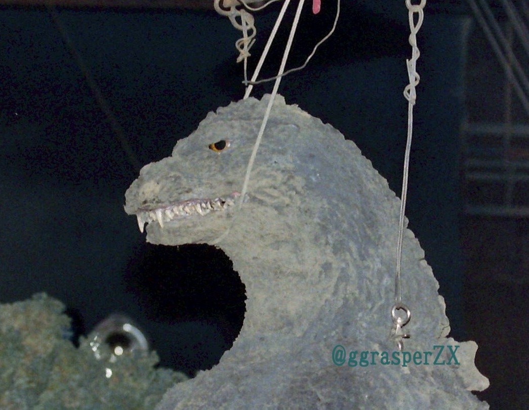 ビオゴジの目が話題なので、ご参考までに。
当時、撮影所で撮らせていただいたものです。
フラッシュたいて、こんな感じです。
実質白目はあっても見えないですね。