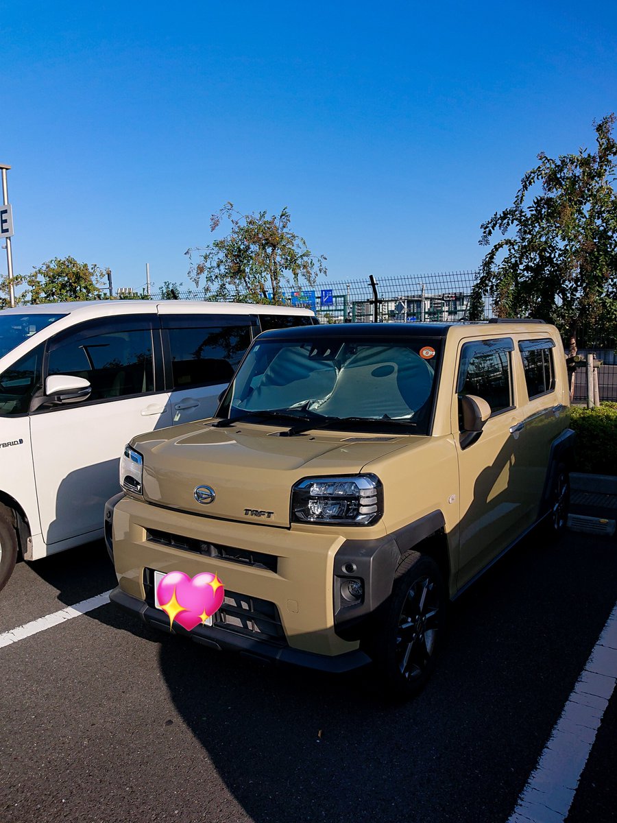 このタフトとのおそらく最後の遠出
羽田