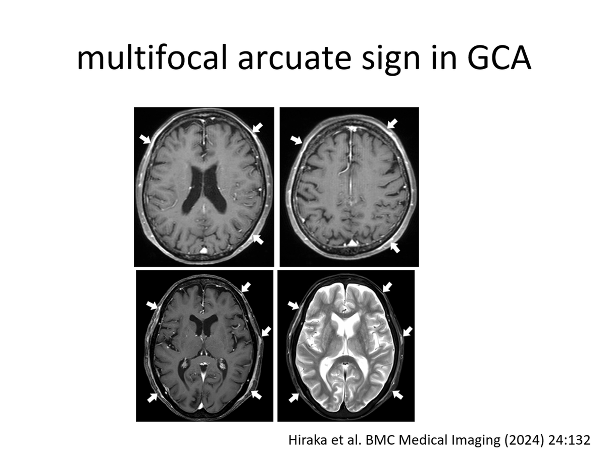 にゃんでもにゃ医 (@lE9BrvyUwLLVZIE) / Posts / X