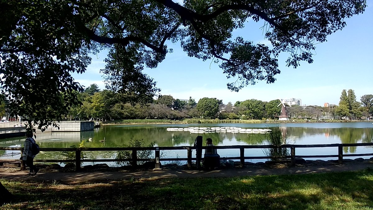 hanabata72's tweet photo. 🚃🚶☀ 赤羽駅→浮間舟渡駅 #駅ハイ #北区を歩こう秋の公園さんぽ https://t.co/nwoGDUrucL