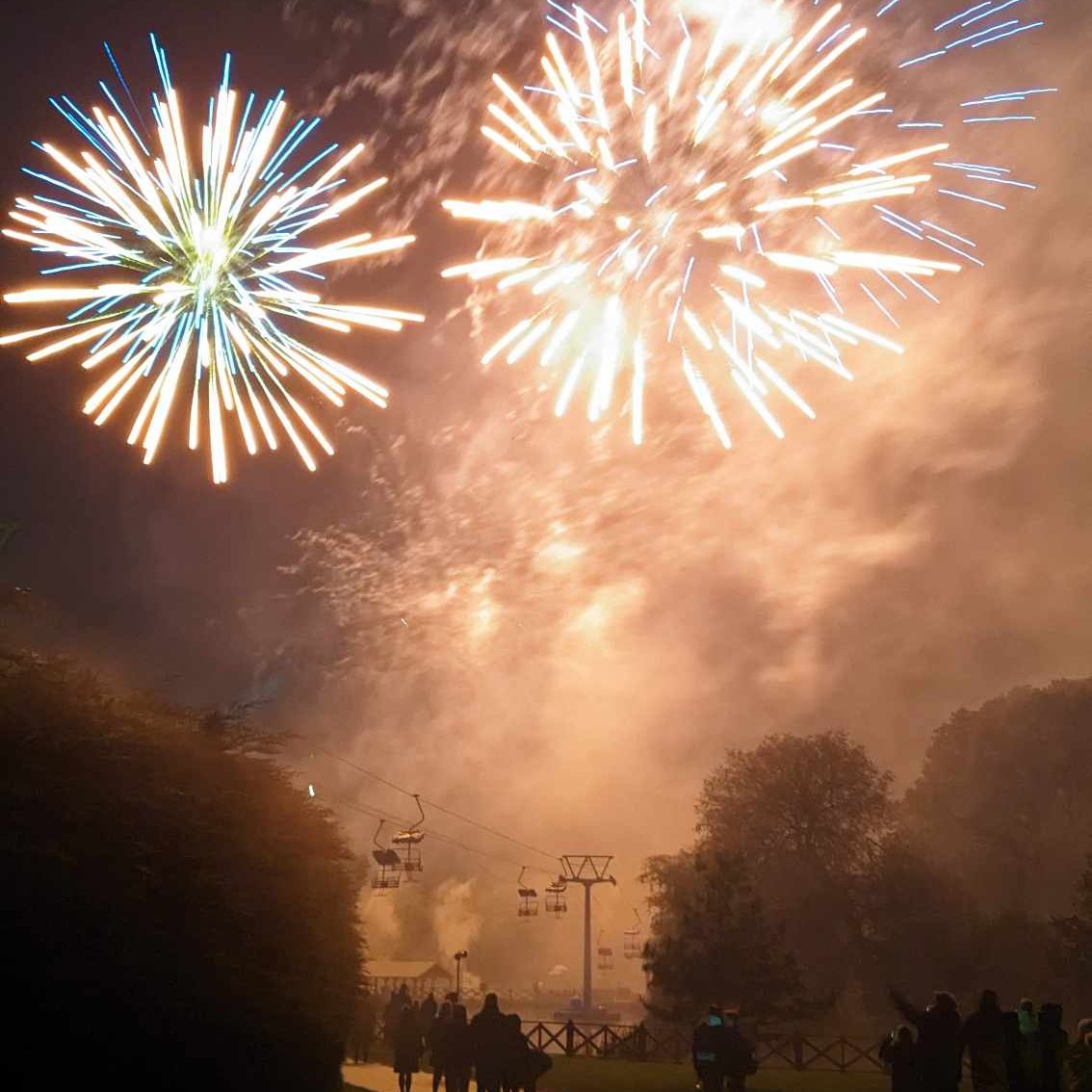 FOMO = real! ⚡ 2hrs of Twilight rides &amp; spectacular fireworks 🎇 on 2nd Nov. Twilight Thrills &amp; Fireworks £12 online only — when they’re gone, they’re gone! 📱 pleasurewoodhills.com #TwilightThrills #FamilyAdventure