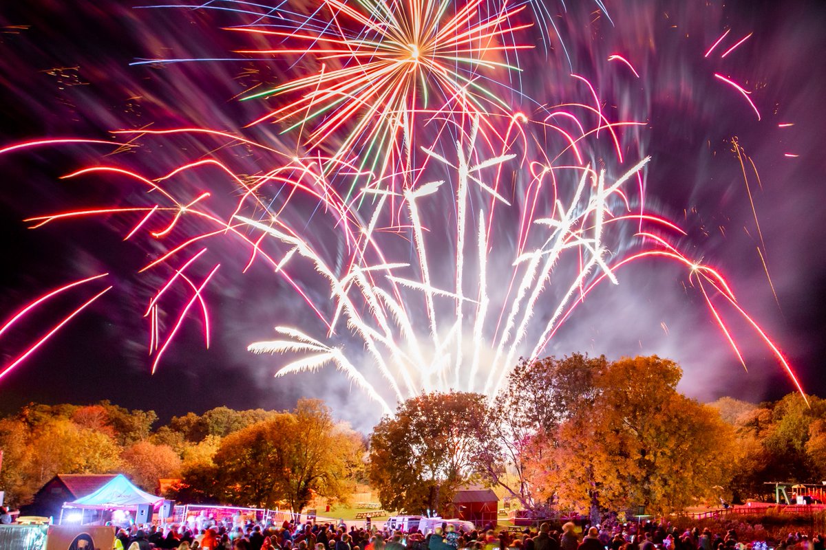 🎢 Twilight rides + 🎆 Fireworks = Twilight Thrills &amp; Fireworks! Sunday 2nd Nov, £12 online only. Don’t miss out — limited tickets! 📱 pleasurewoodhills.com #HalloweenFun #FOMO