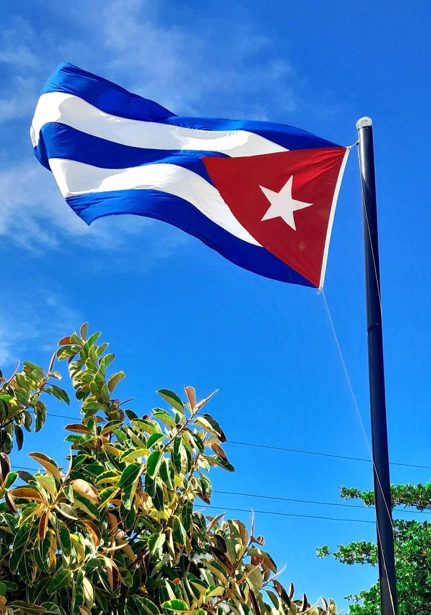 LiaVeronas's tweet image. Nuestra identidad se forjó en la historia y el valor.
España no pudo doblegarnos.
EE.UU. nos bloquea desde hace más de 50 años… y aquí seguimos, con la frente en alto.
#CubaEstáFirme 🇨🇺