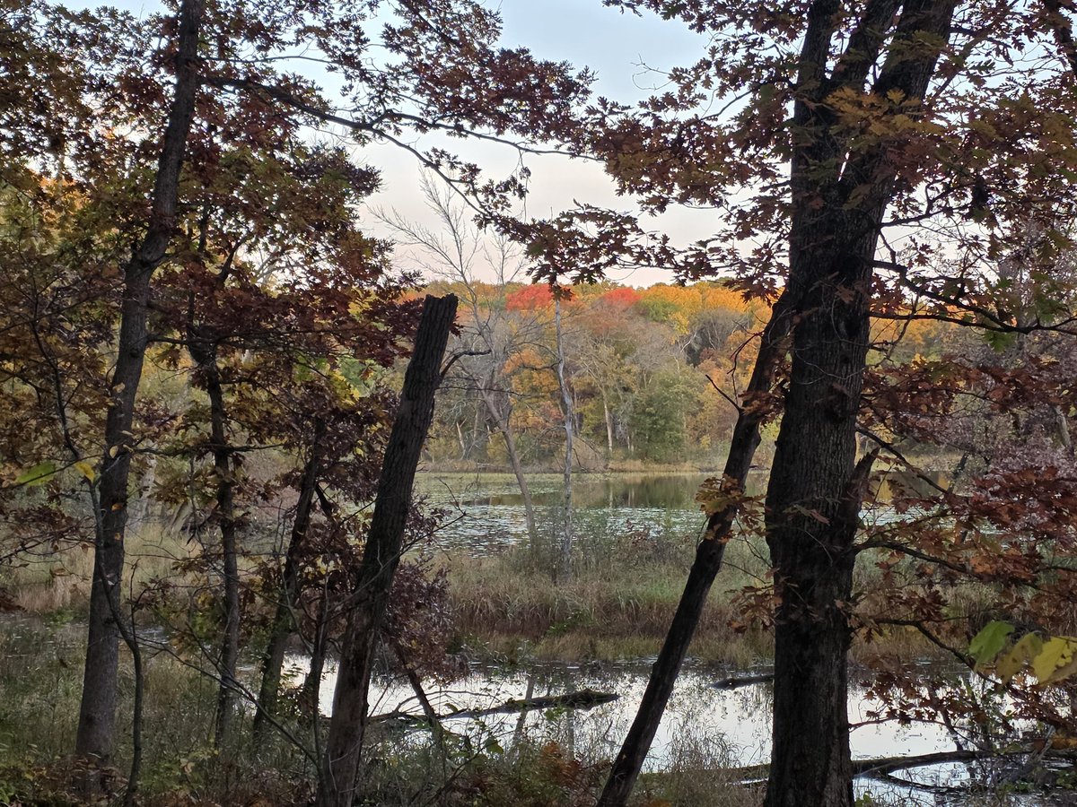 Eastview CC/Track tweet media