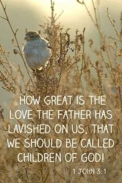 fitdaddy_scott's tweet image. 🙏✝️Good Saturday  #SaturdayVibes #SaturdayMotivation