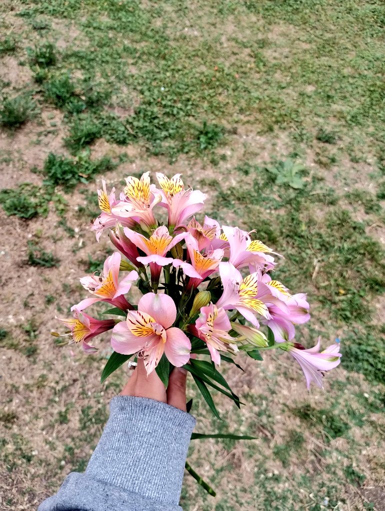 Esto parece un sueño 🥺🤍