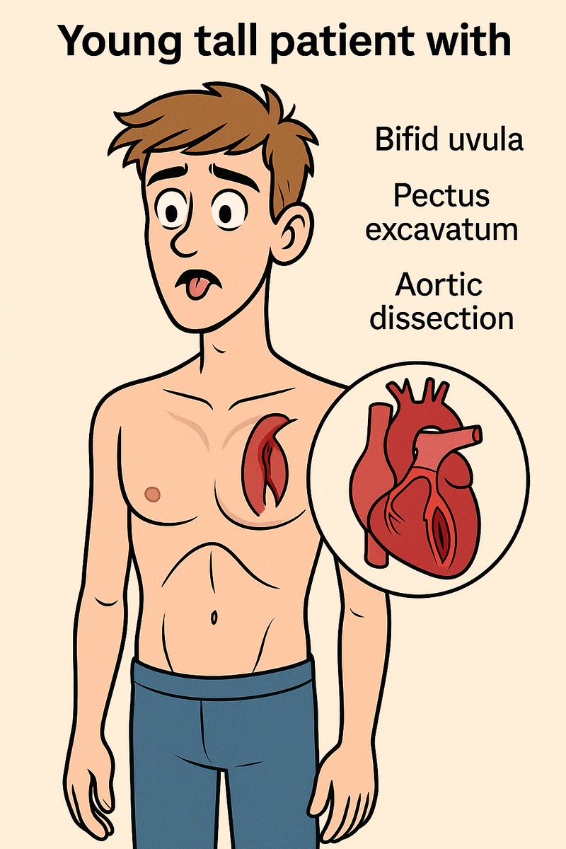 Dr Ihab Suliman tweet media