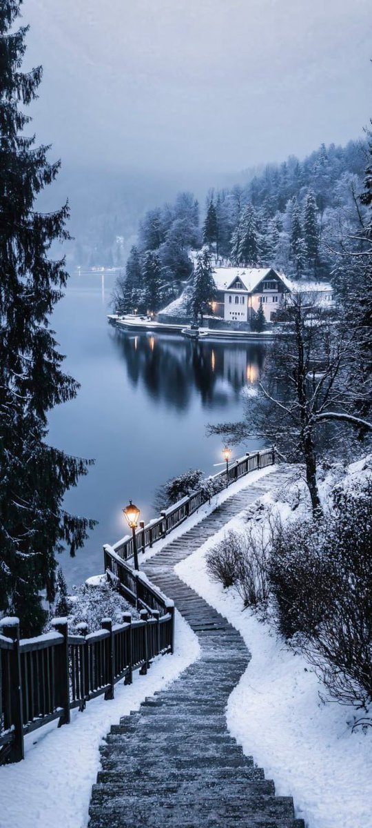 Epic Posts Daily 𝕏 (@wallacebeaufort) on Twitter photo 