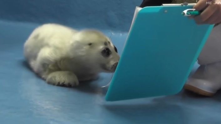 hoy torneo en (puta) pucela

no he mirado la bracket

formatín de hoy