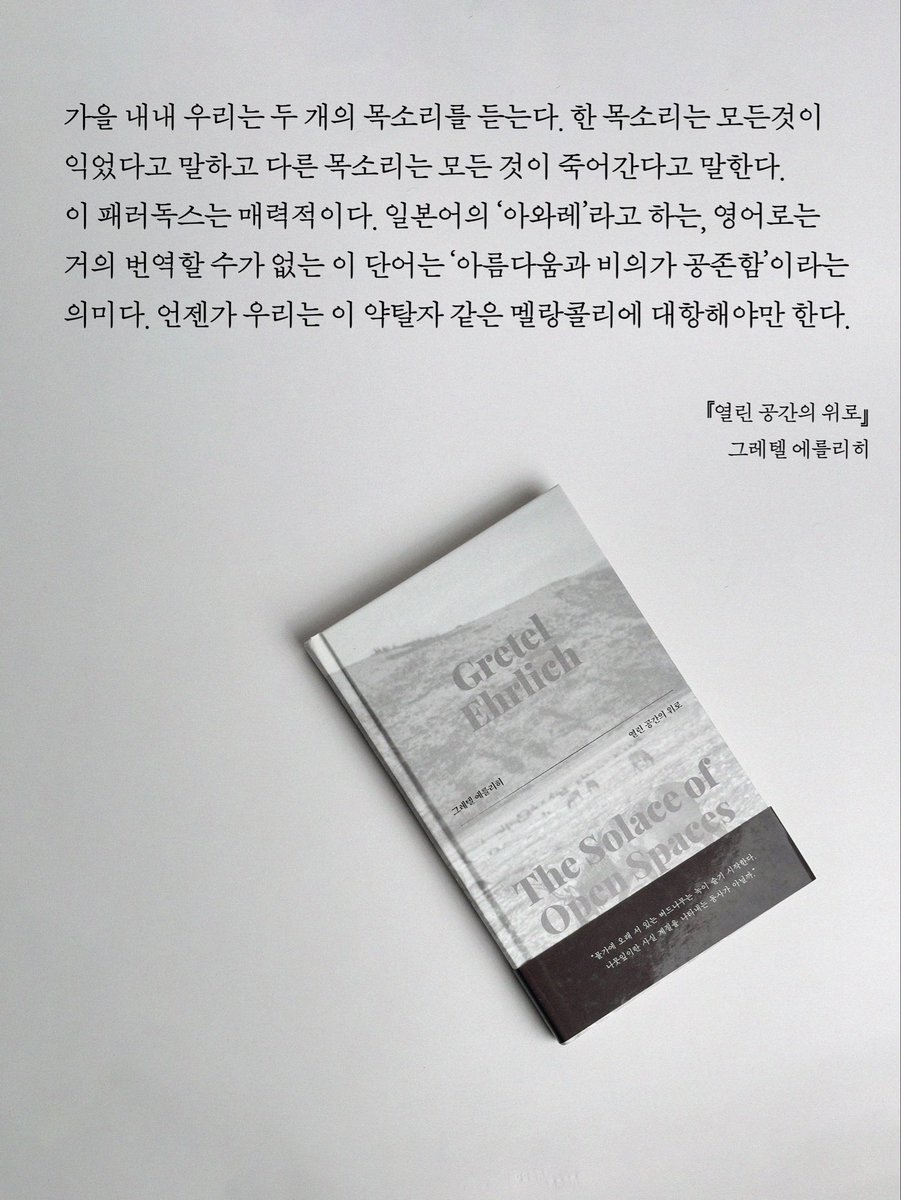 bitsogul's tweet image. 